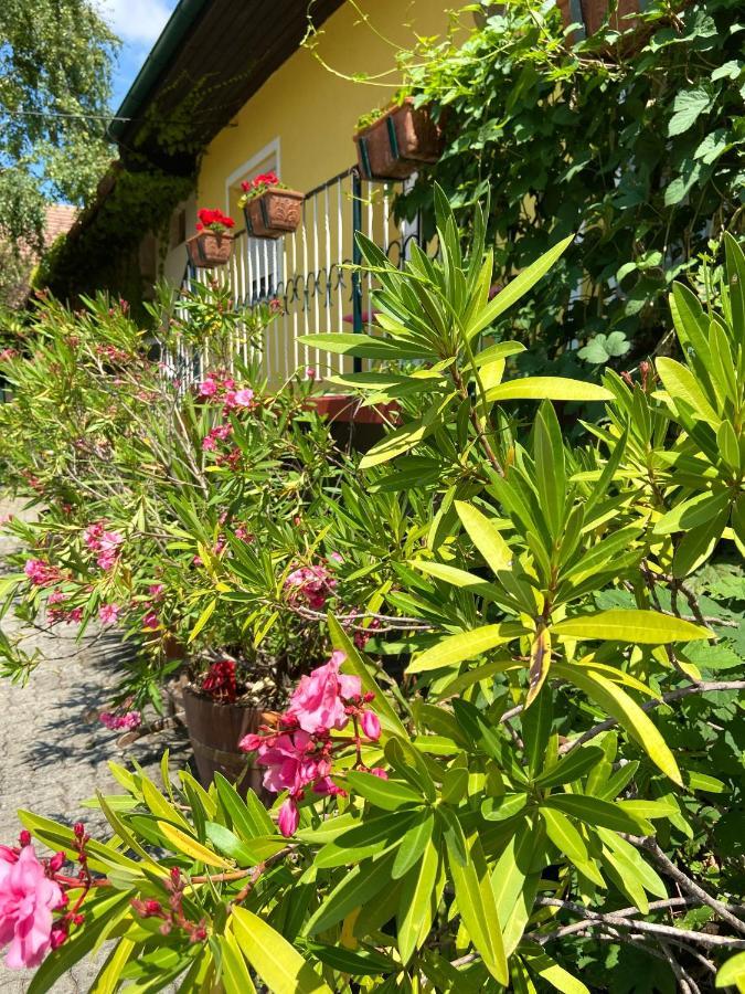 Gemutliches Zimmer Im Innenhof Jois Exterior photo